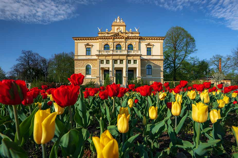 Lente in Pilsen