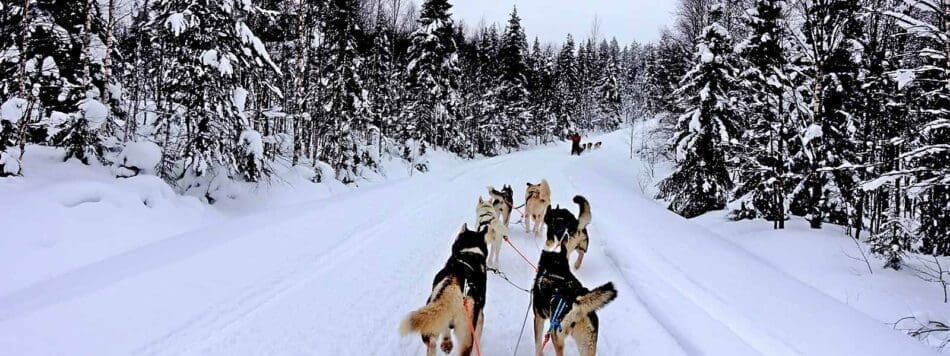 Op vakantie naar Fins Lapland