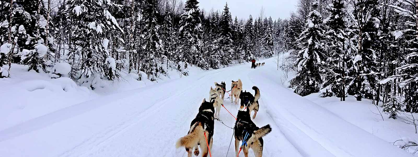 Op vakantie naar Fins Lapland