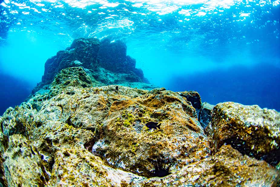 Snorkelen op Tenerife bij La Pared del Palmar