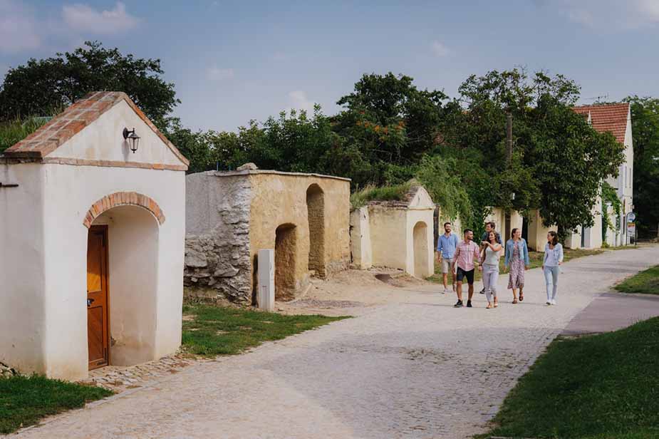 Tsjechische wijnen in Zuid-Moravië