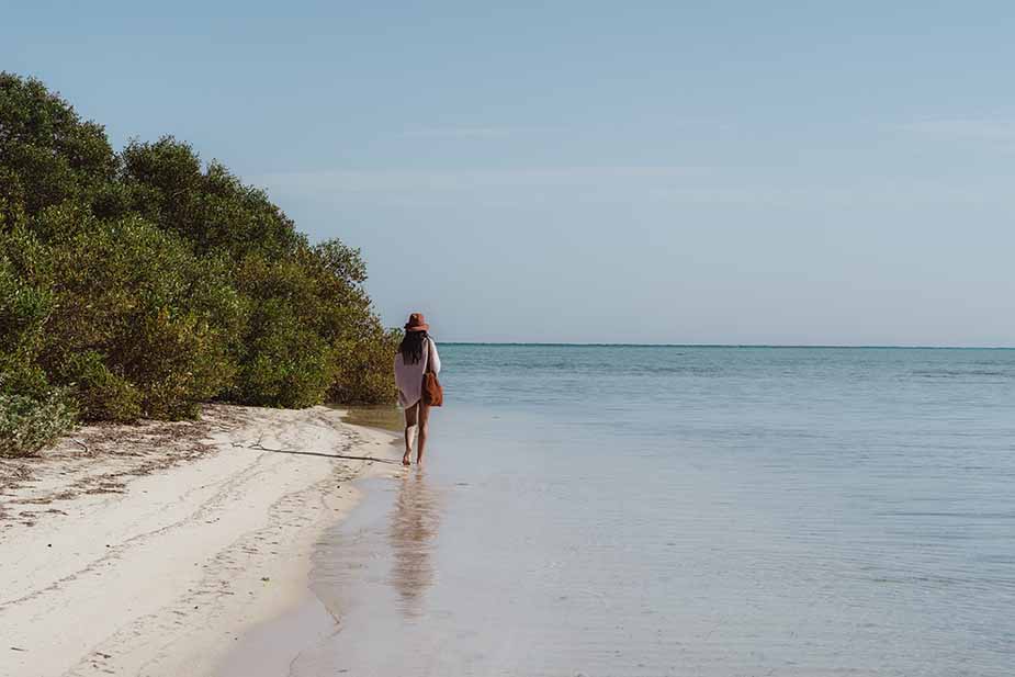 Mangrove in Egypte