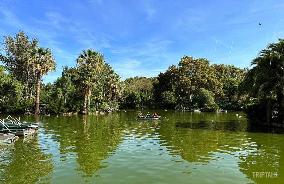 Roeibootje huren in Parc de la Ciutadella
