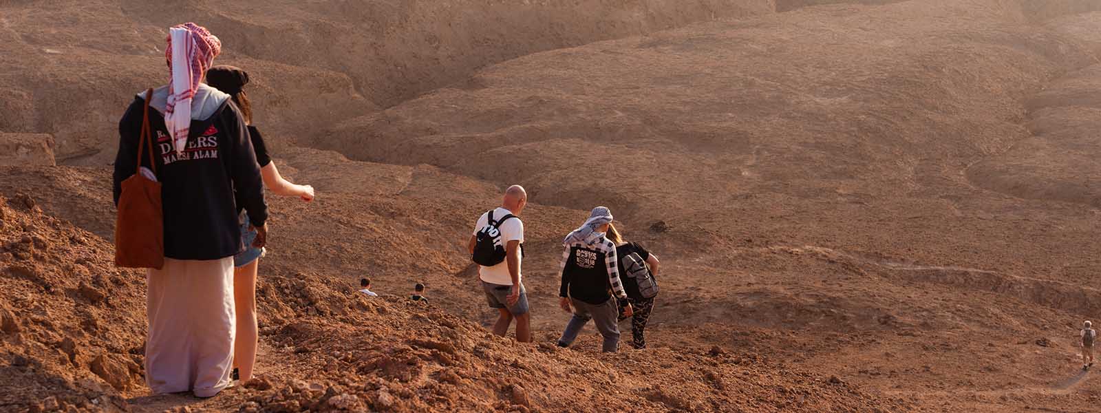 Wadi el Gemal in Egypte