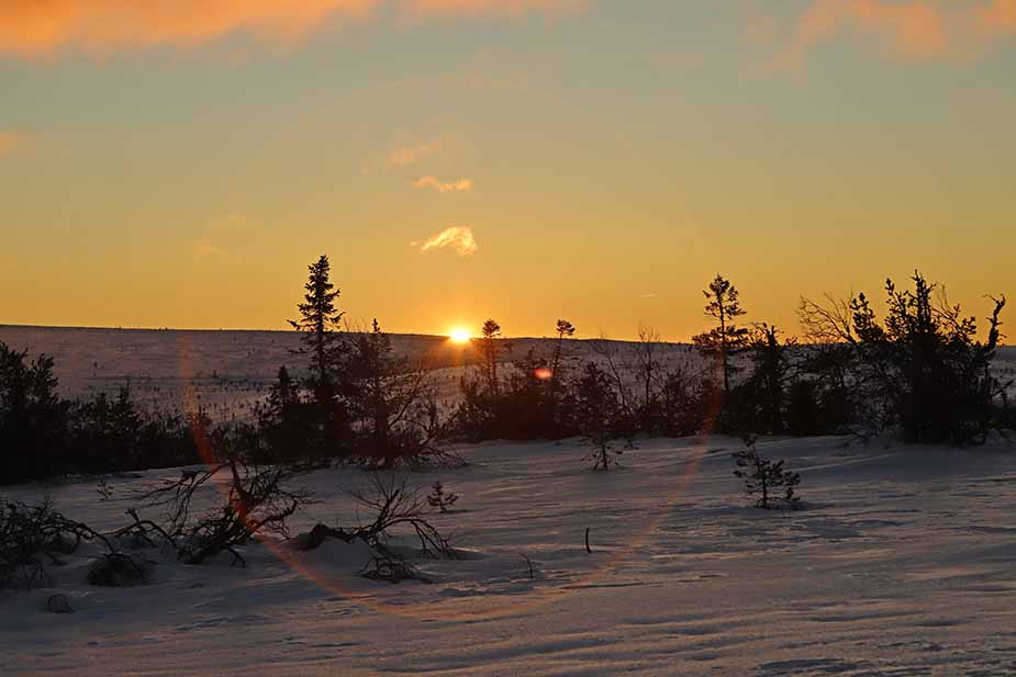 Zonsopkomst tijdens het skiën in Scandinavian Moutains