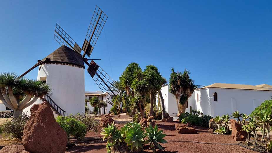 Vakantie op Fuerteventura