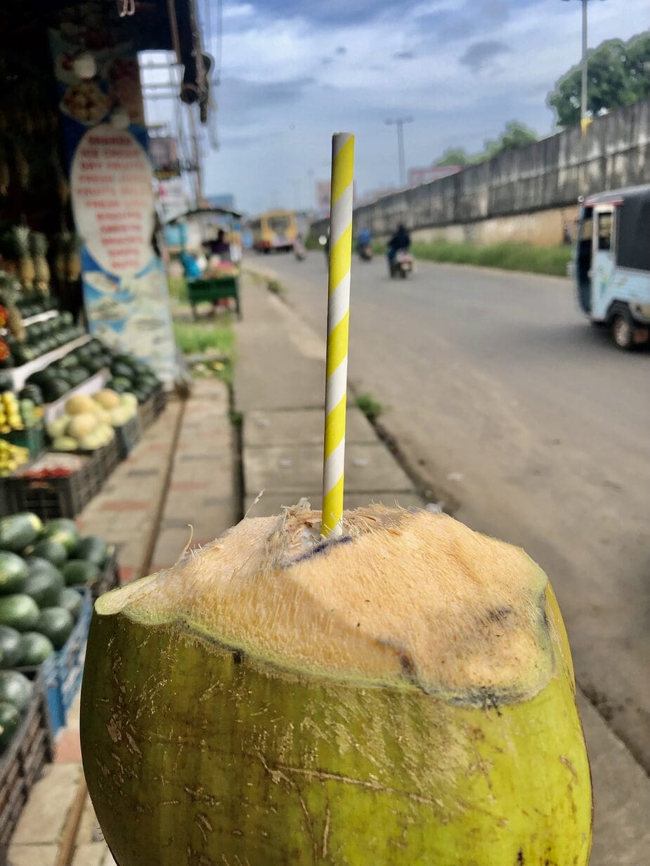 Kokosnoot drinken in Kochi, India