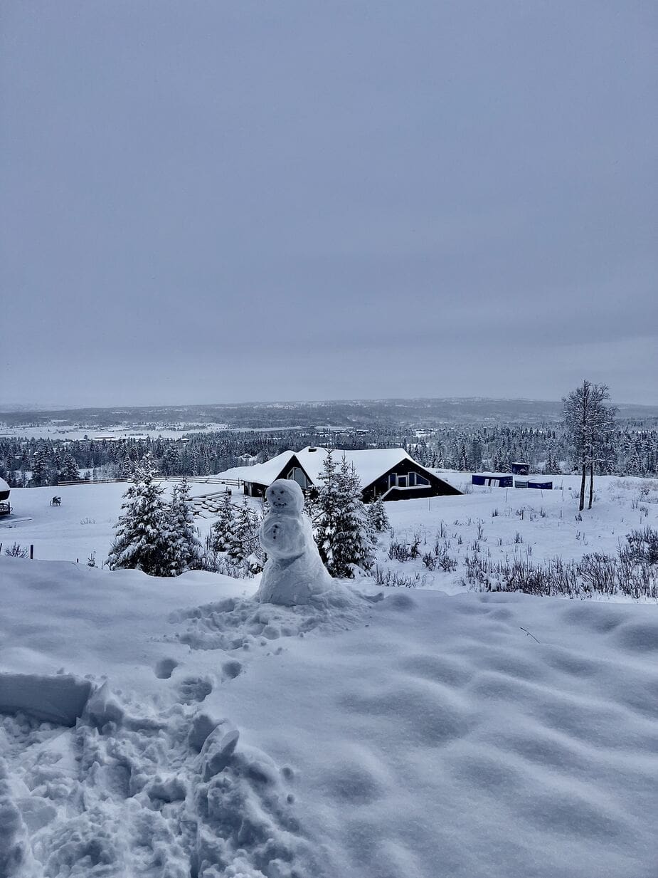 Skiën in Oslo