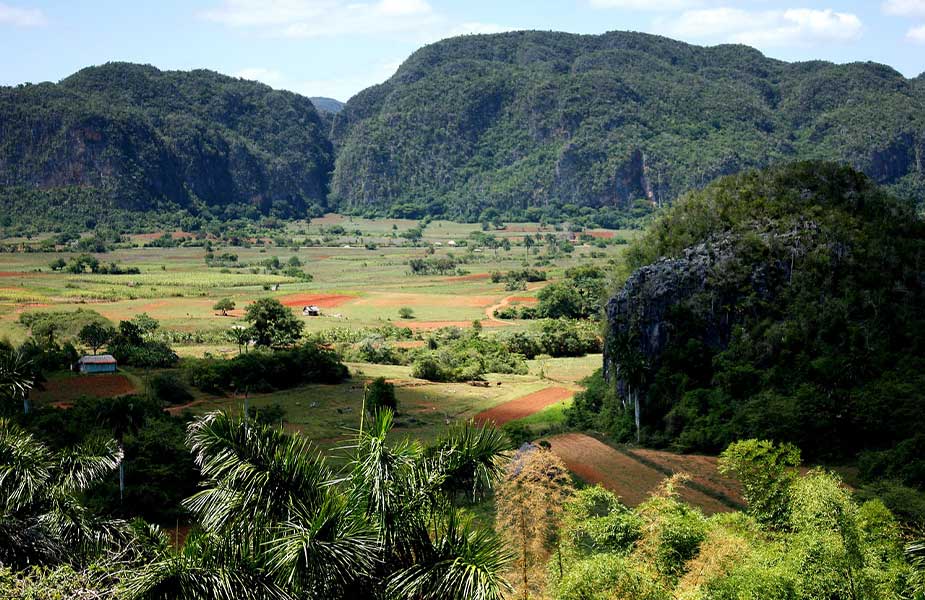 De mooie natuur in Cuba