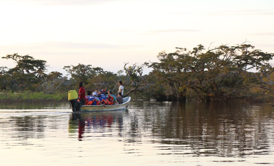 Amazoneregenwoud in Ecuador