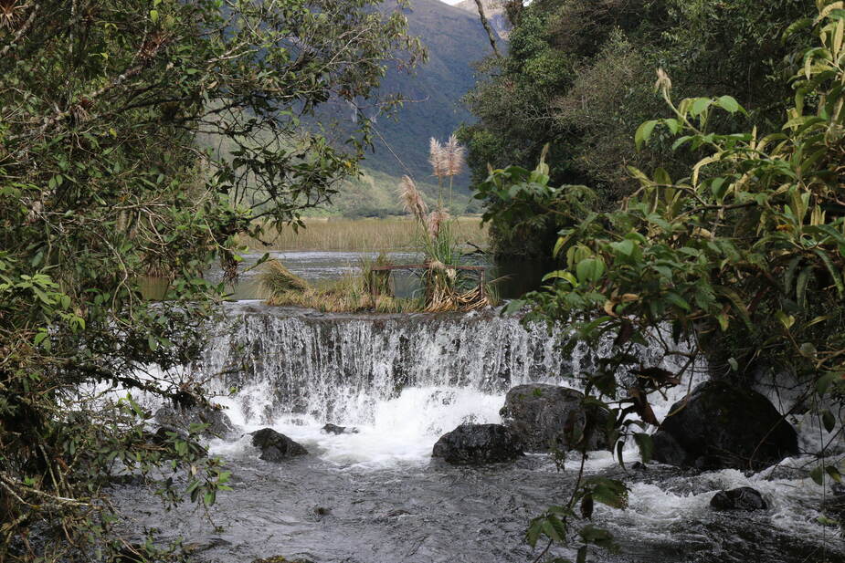 Cajas Nationaal Park in Ecuador bezoeken tijdens een reis