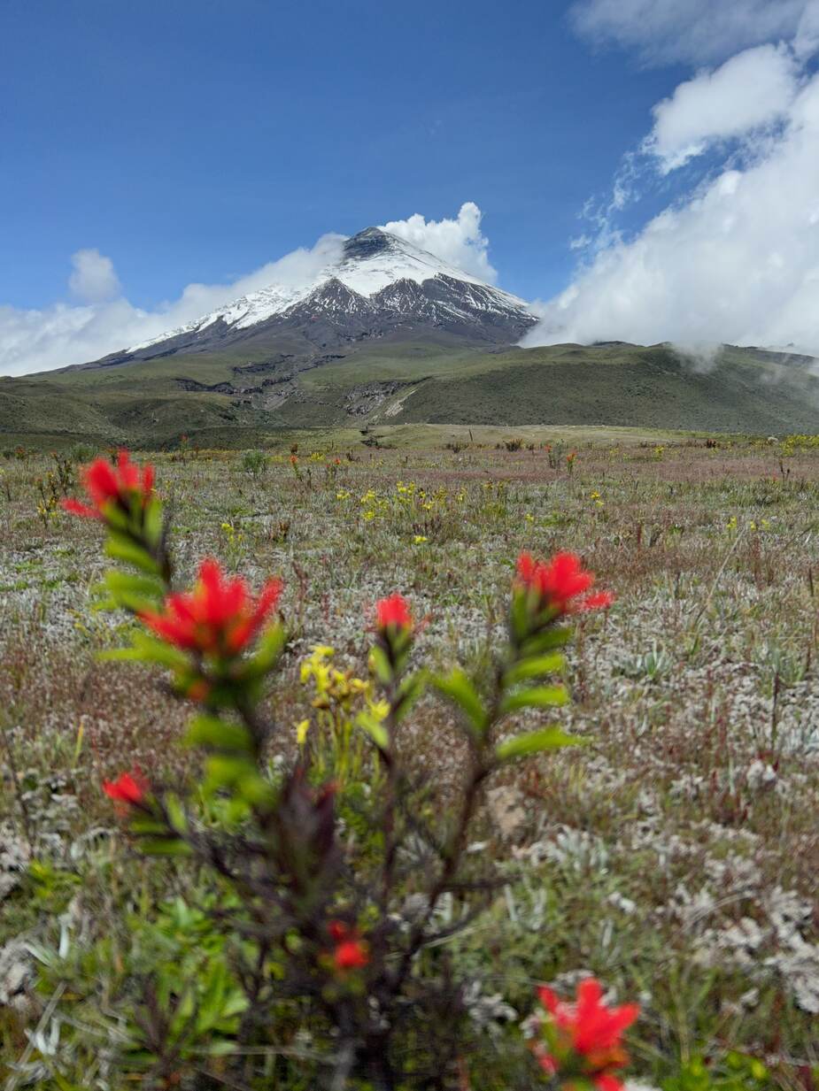 Cotopaxi vulkaan in Ecuador