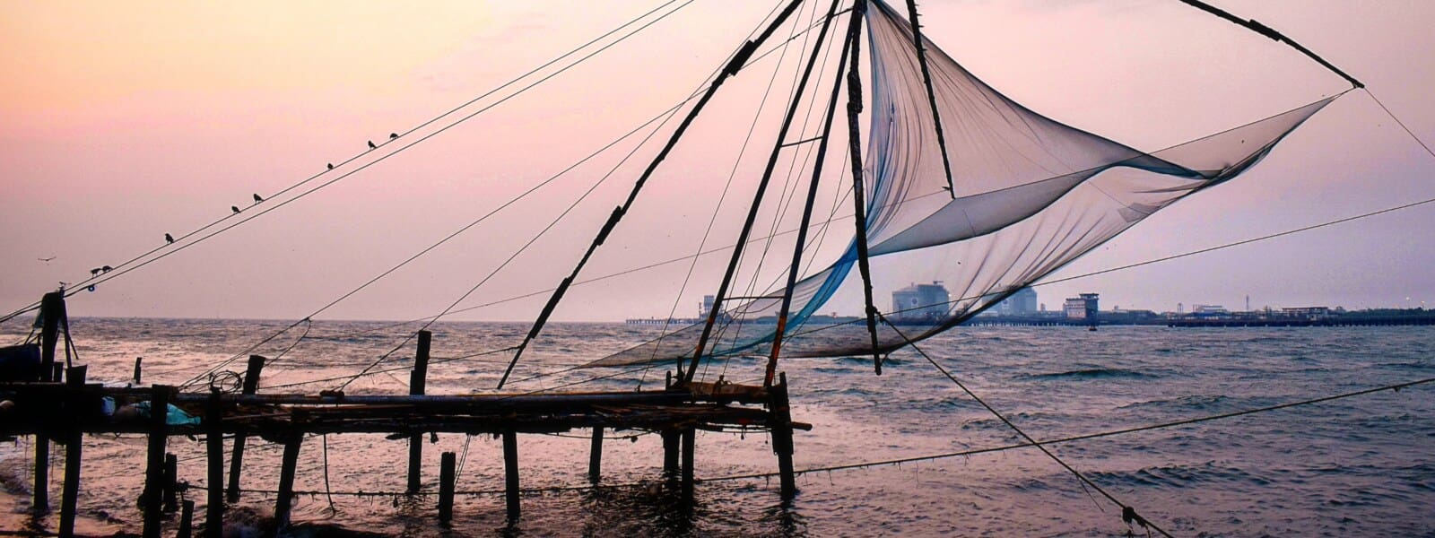 Wat te doen in Kochi, India