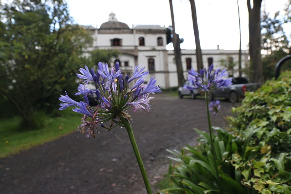 Hacienda La Cienega