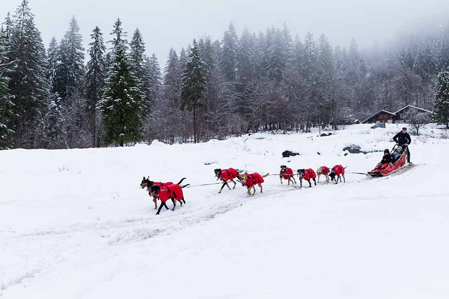 Hondenslee in Cirque du Fer à Cheval