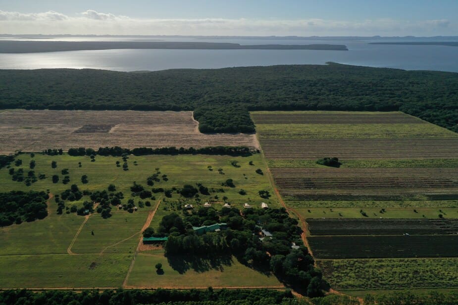 Mozambique
