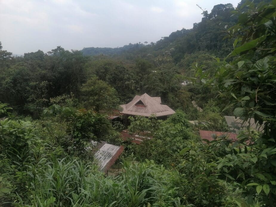 Huis in de jungle van Peru