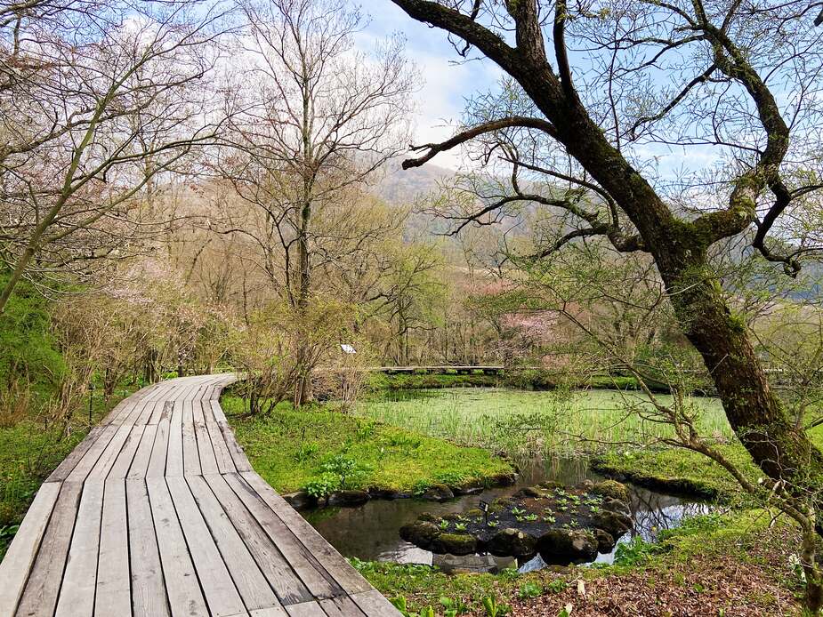 Botanische Tuin van Wetlands in Hakone