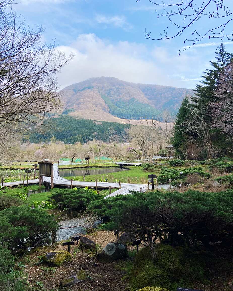 Uitzicht bij Botanische Tuin van Wetlands in Hakone