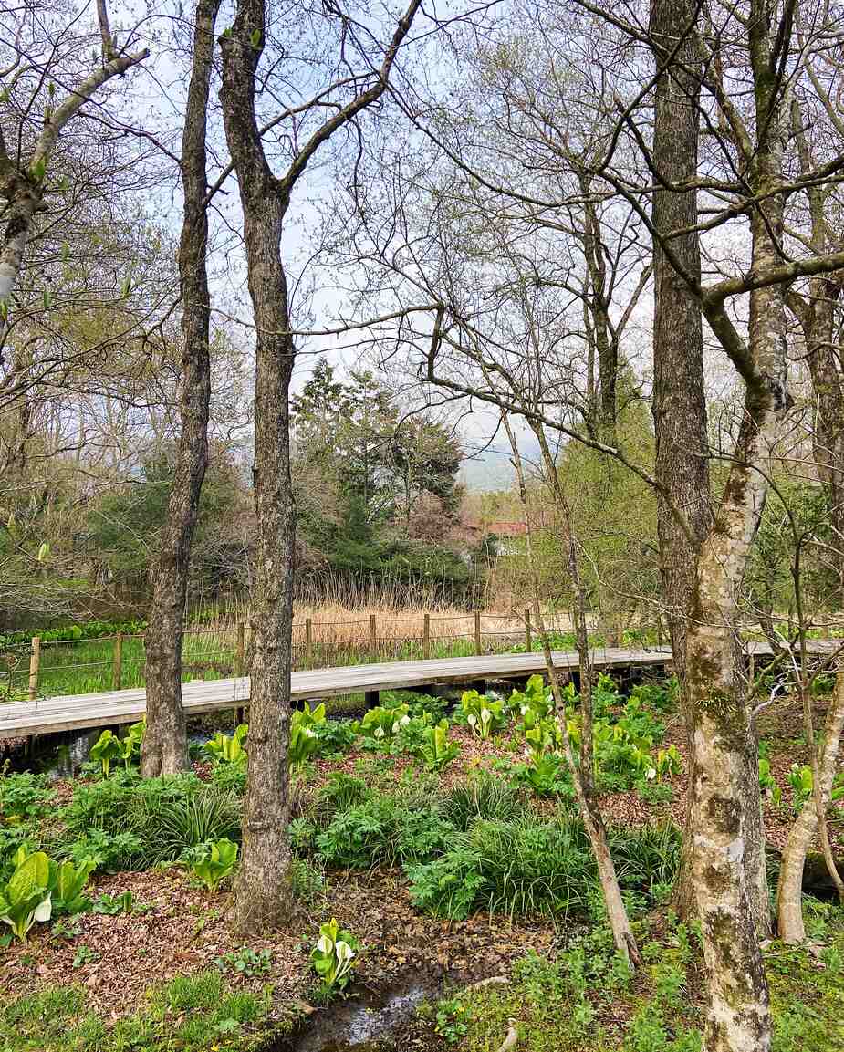 Wandelen bij Botanische Tuin van Wetlands in Hakone