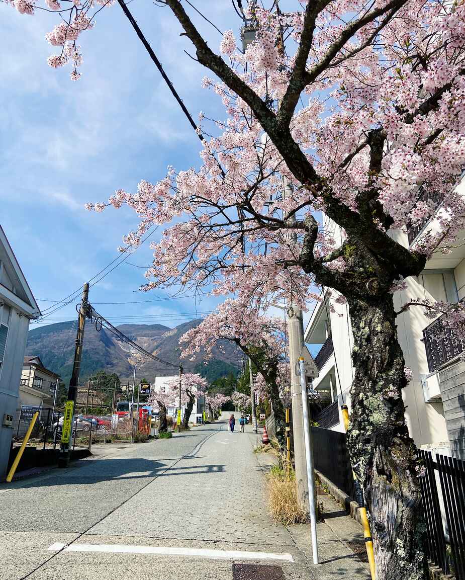 Wat te doen in Hakone-Gora in Japan
