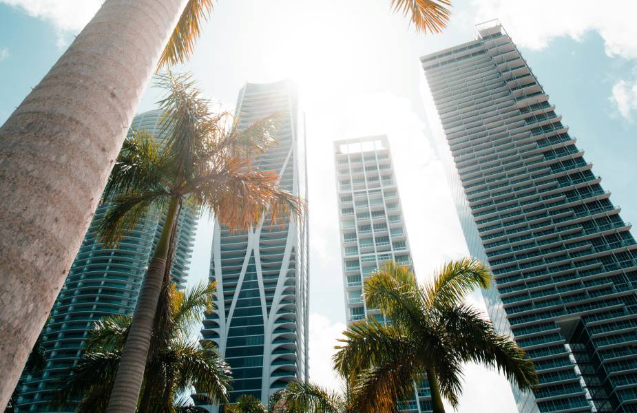 Palmbomen en hoge gebouwen