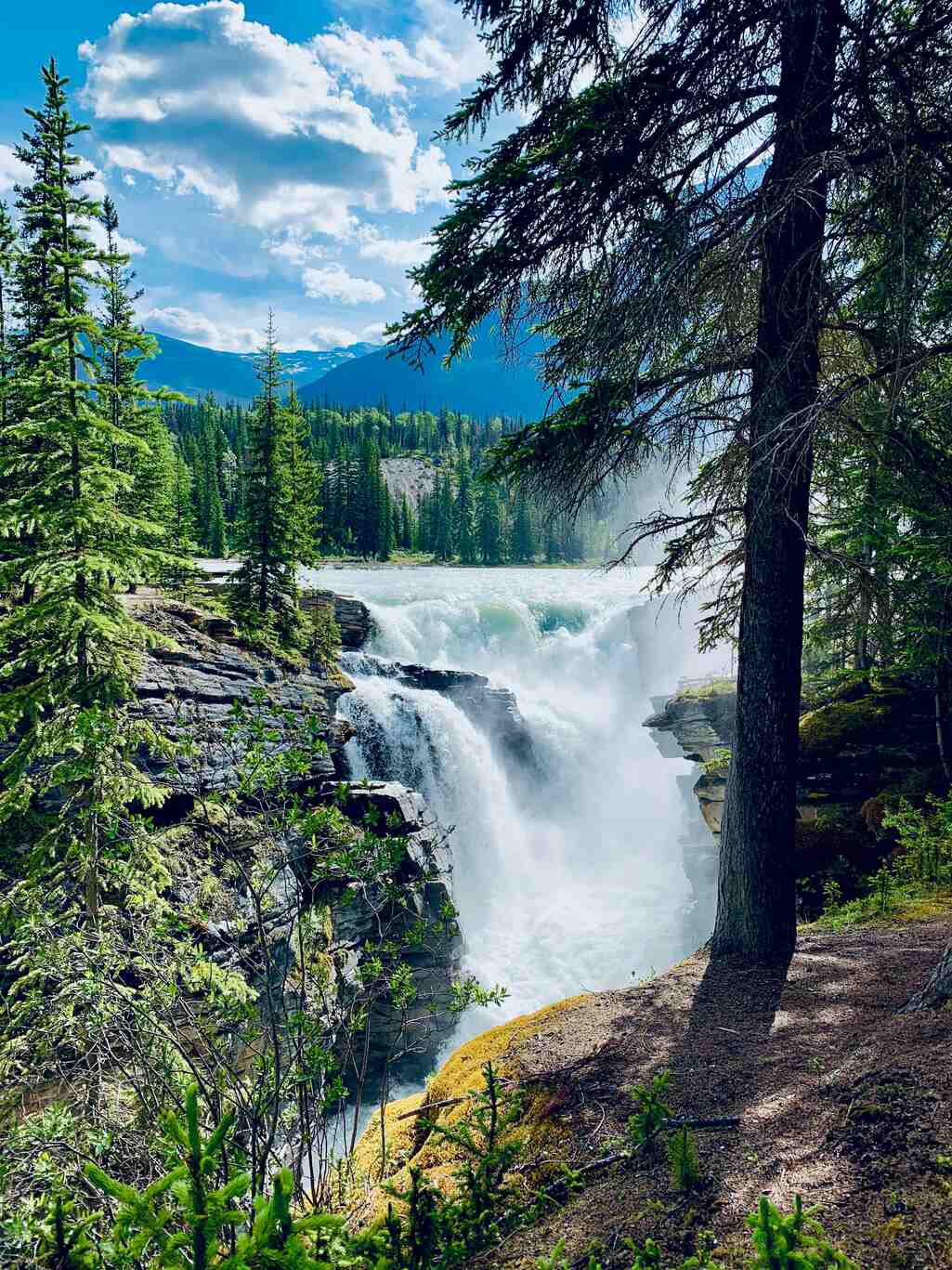 Athabasca Falls