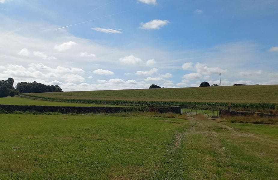 Natuur in omgeving bron van de Thames