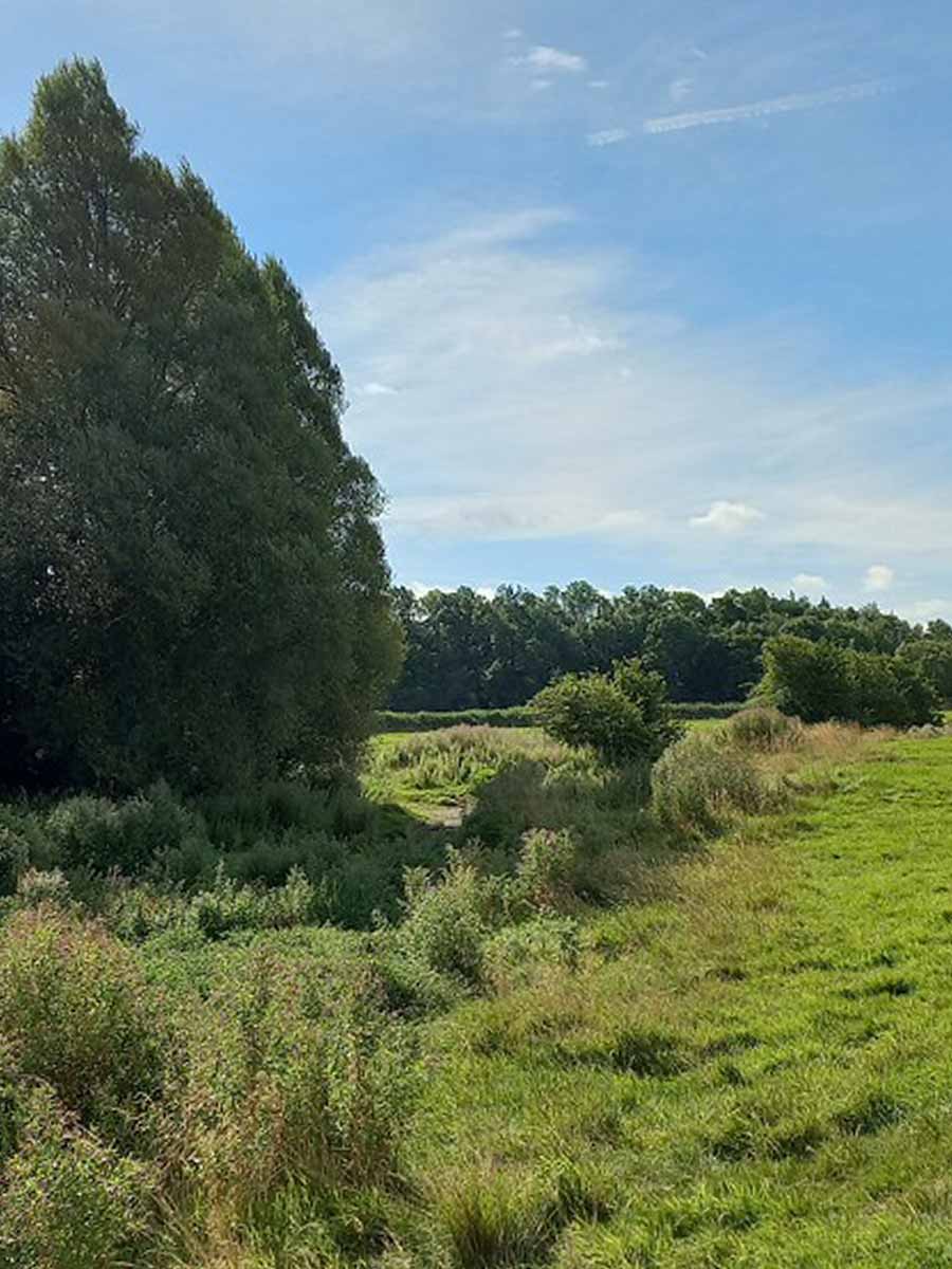 Geul van de Thames