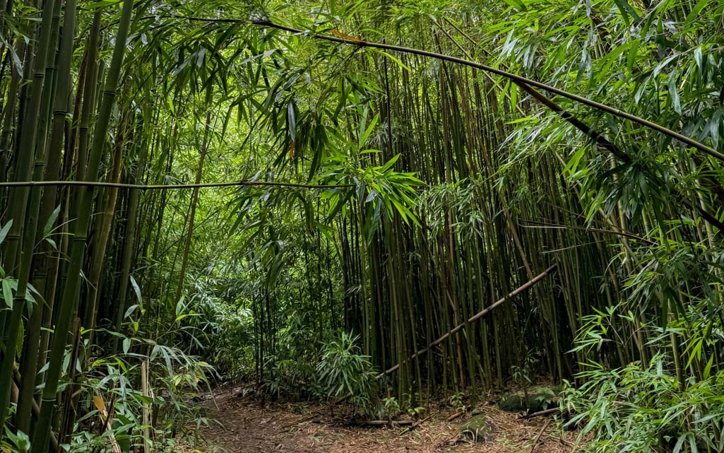 Lulumahu Falls Oahu
