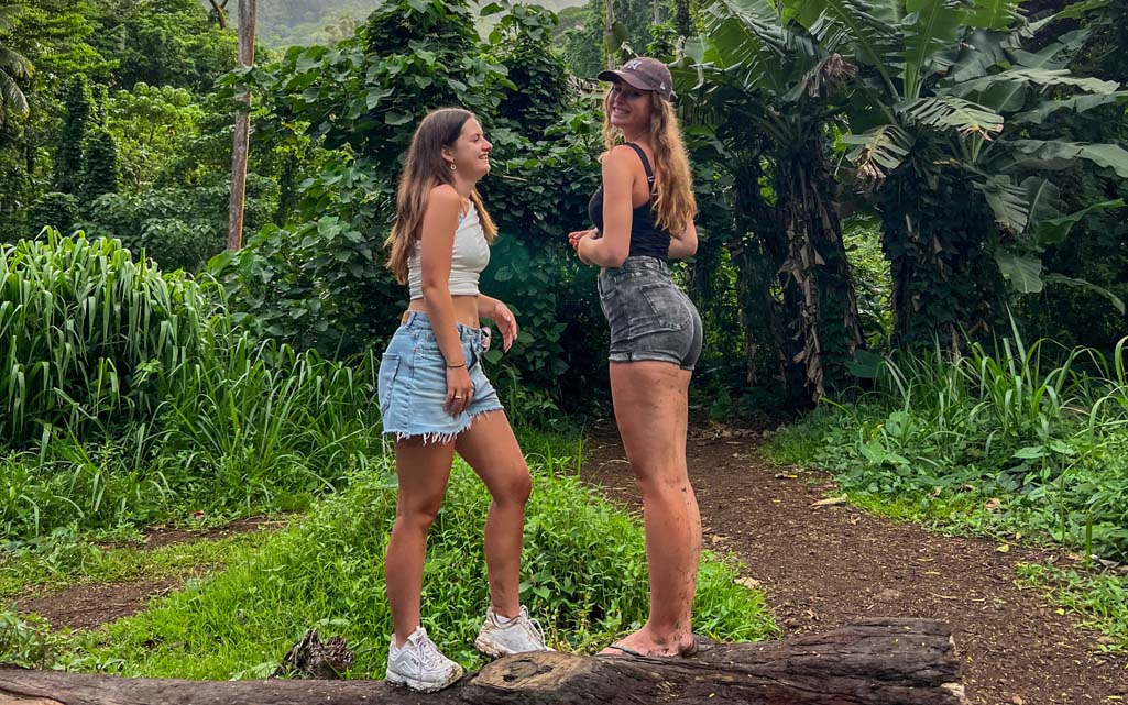 Manoa Falls hike Oahu