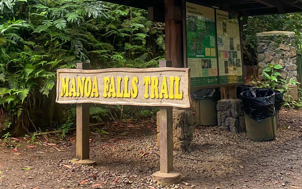 Manoa Falls hike Oahu