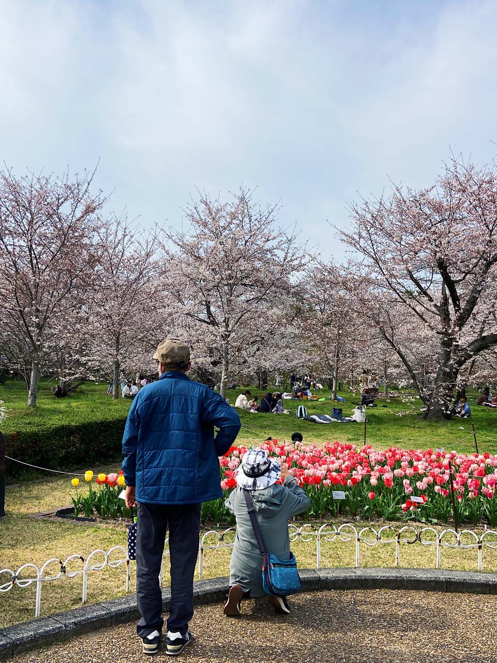 Botanische tuin in Kyoto