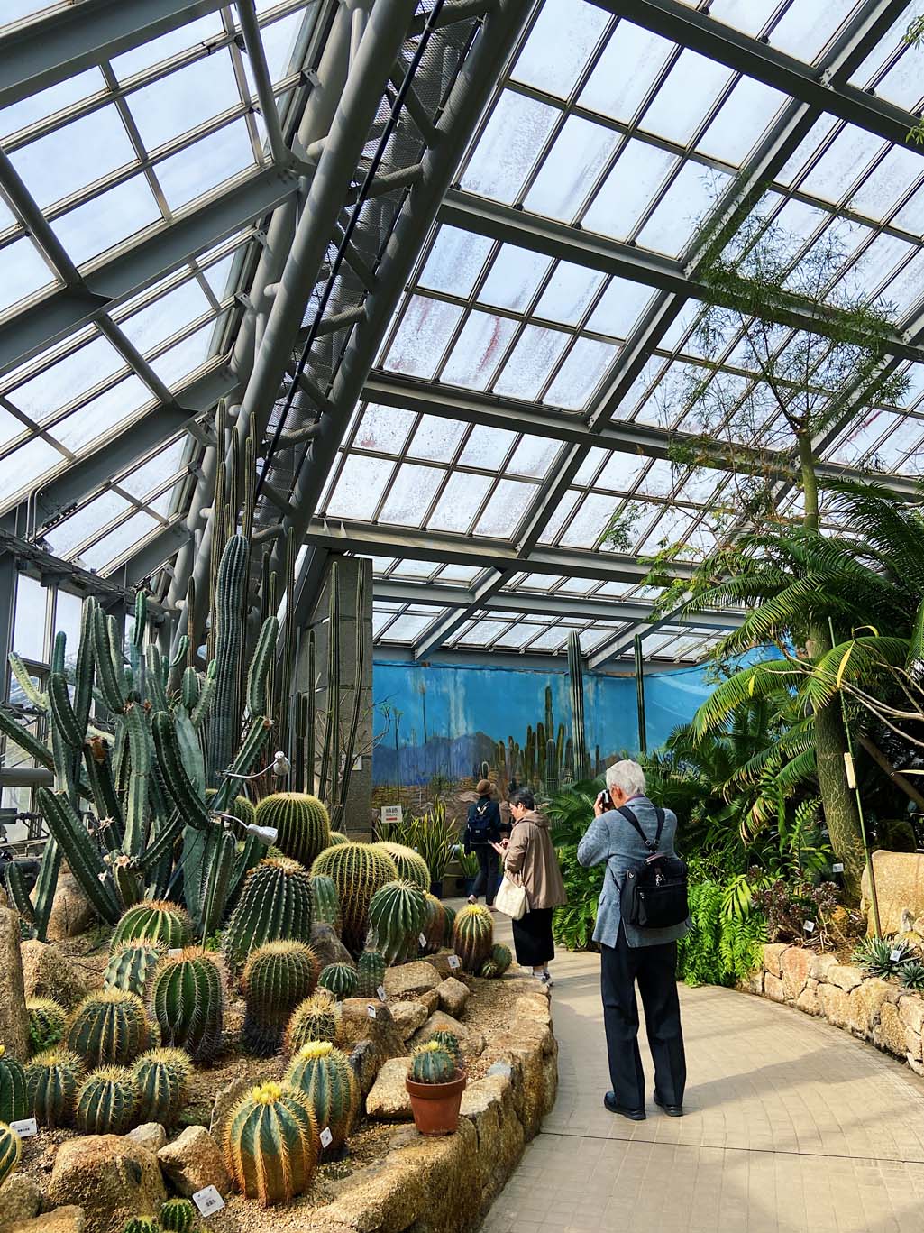 Botanische tuin in Kyoto