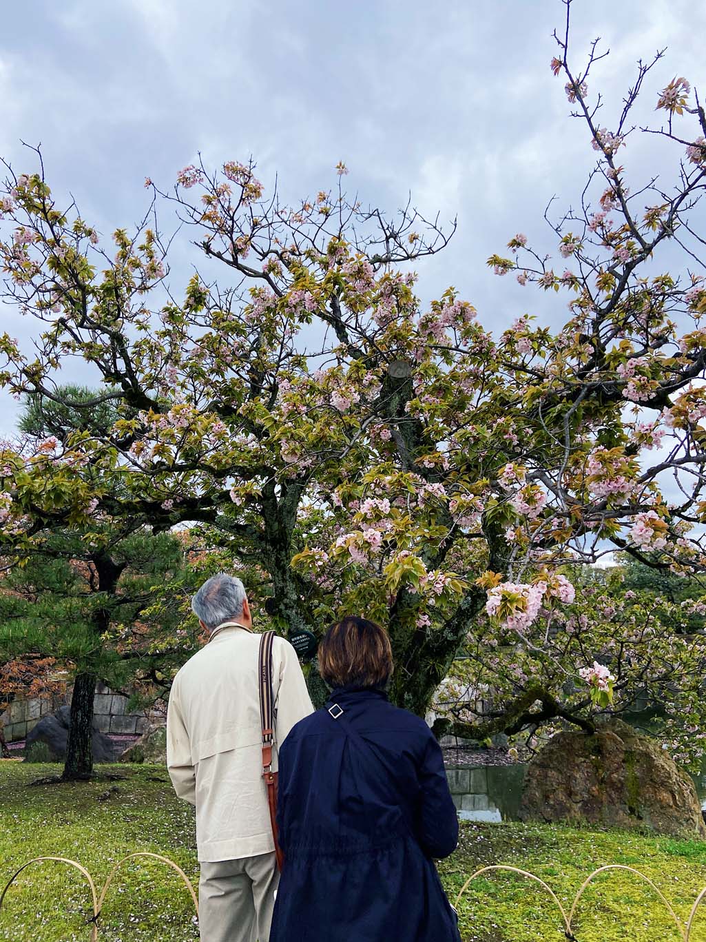 Kasteel Nijo