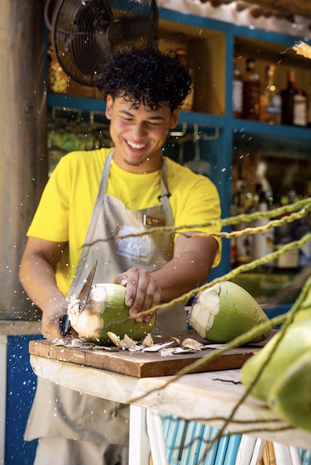 Kokosnoten op Aruba