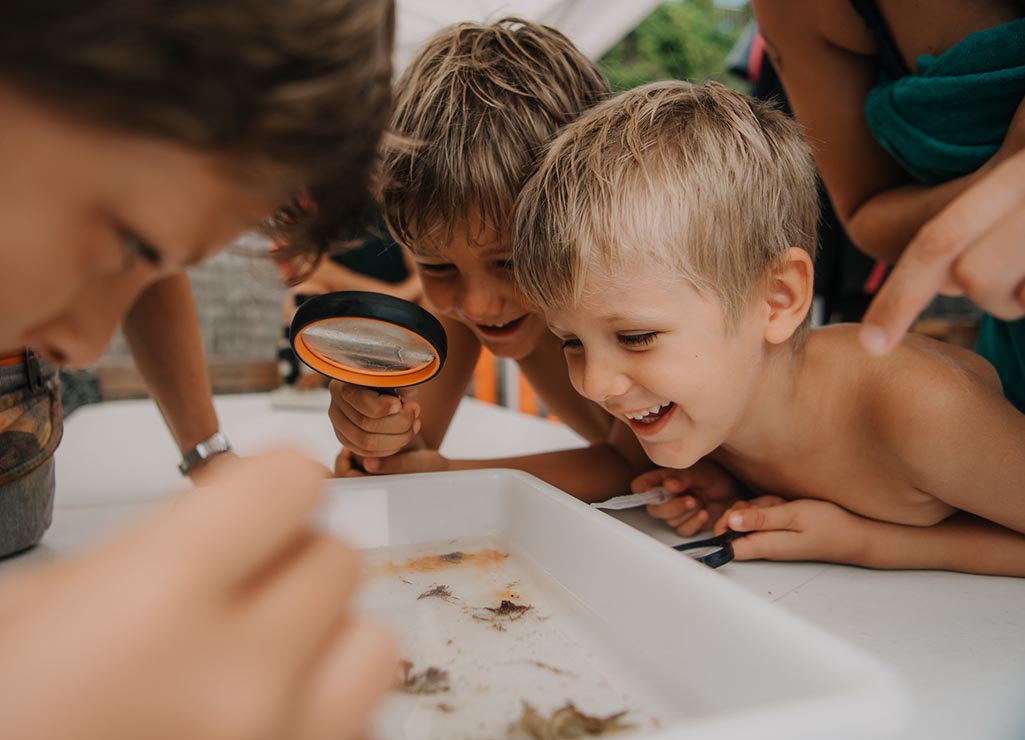 Marine Biology workshop
