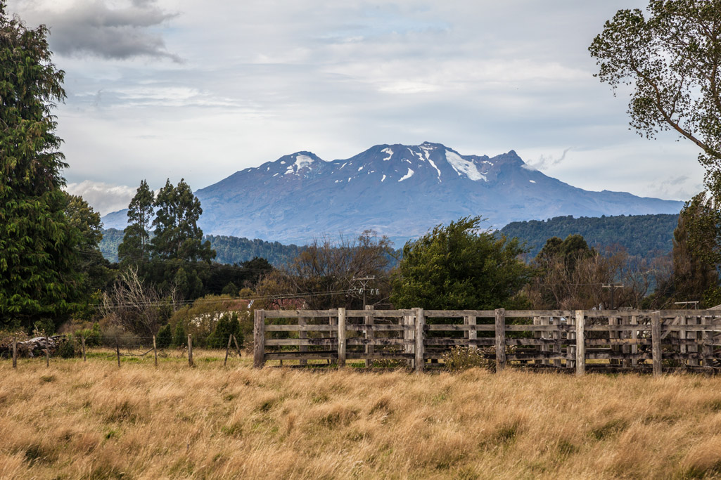 Ruapehu
