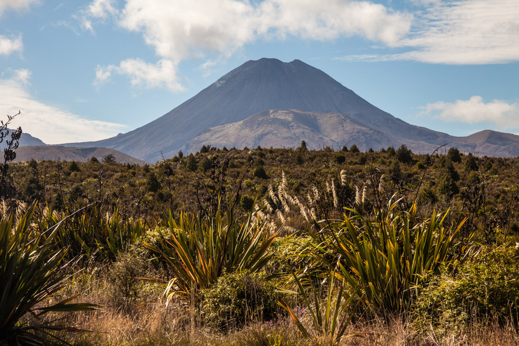 Ngauruhoe