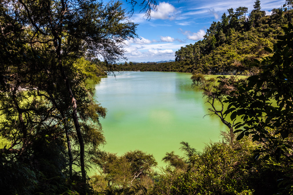 Taupo