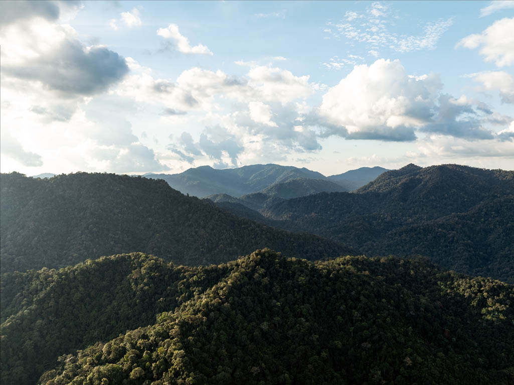 Khao Sok National Park