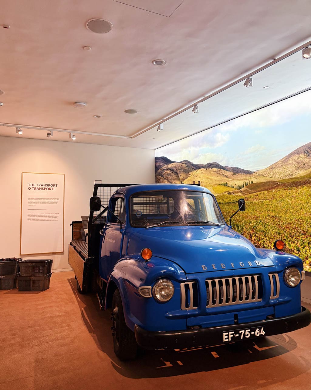 Wijnmuseum in Porto bij WOW