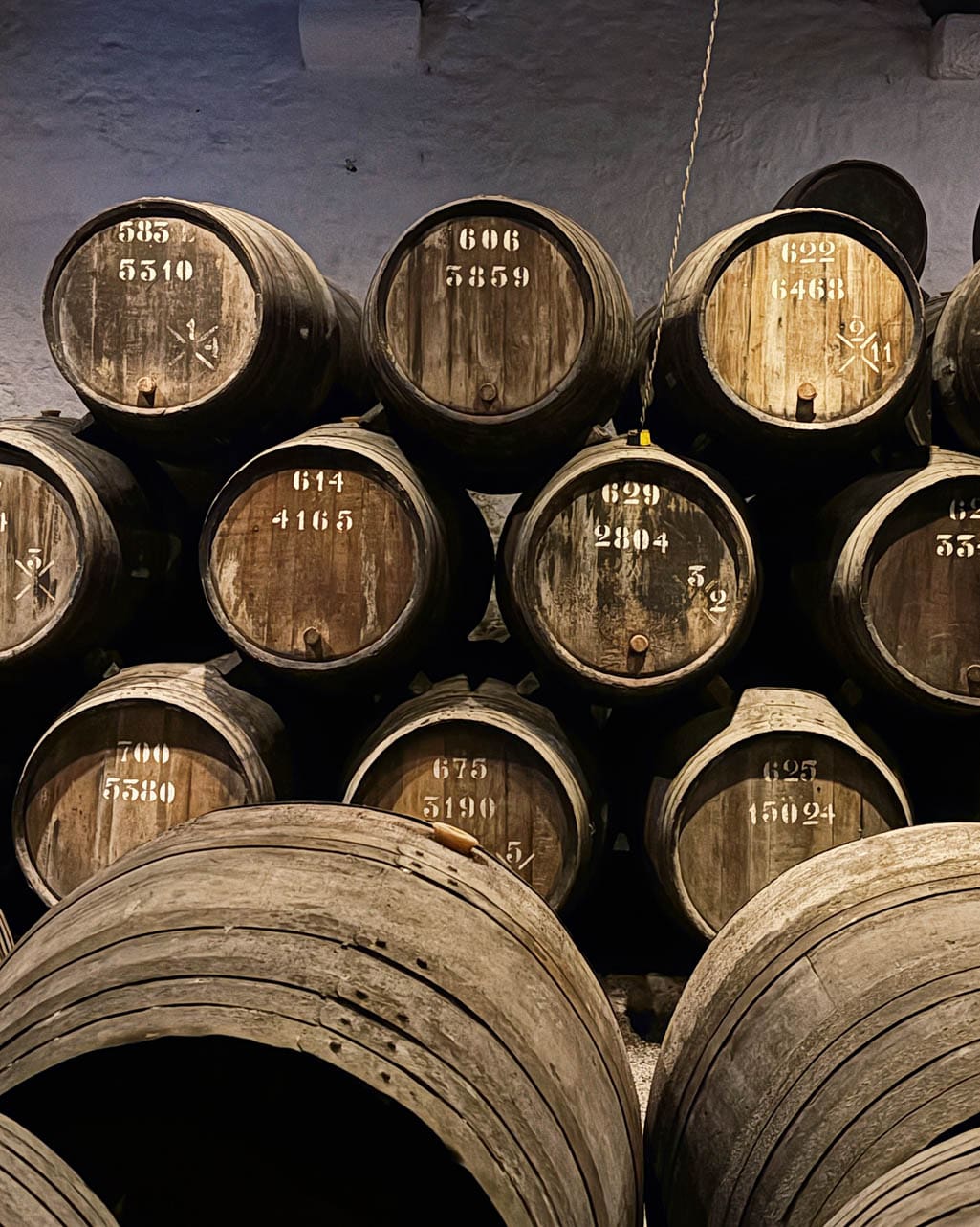 Taylor's Port wijnkelder