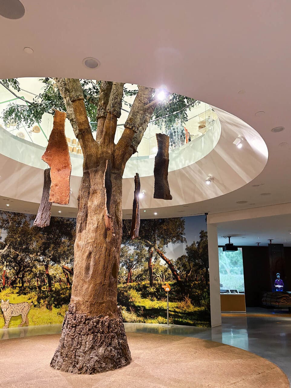 Planet Cork bij WOW Porto