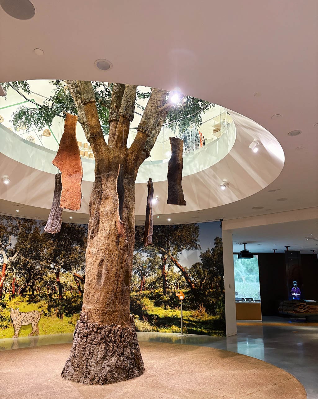 Planet Cork bij WOW Porto