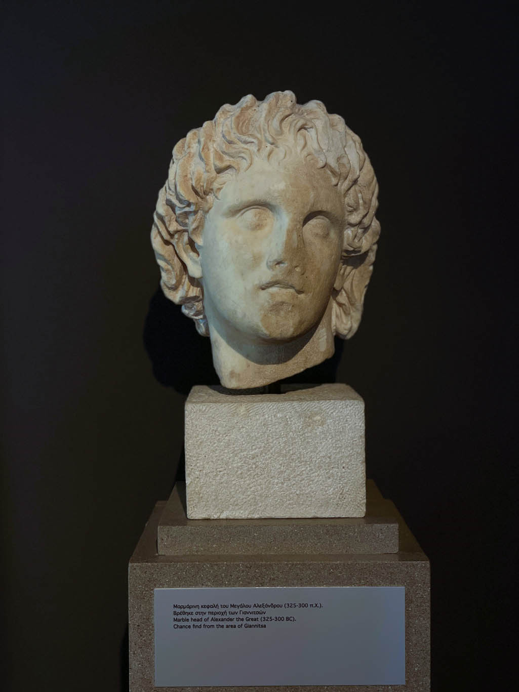 Alexander de Grote buste in het museum in Pella