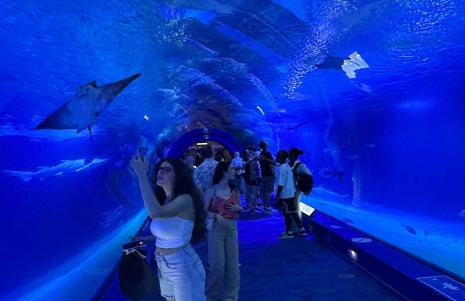 De tunnel in het aquarium in Valencia