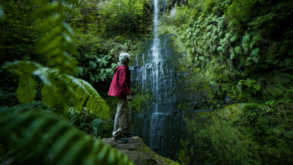 Madeira (c) Unsplash - 1280