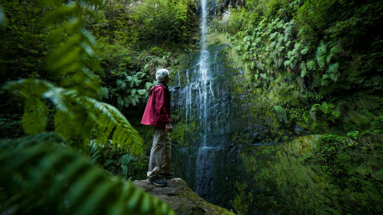 Madeira (c) Unsplash - 1280