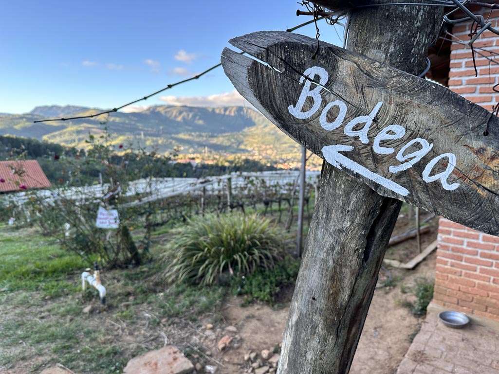 Bodega in Bolivia